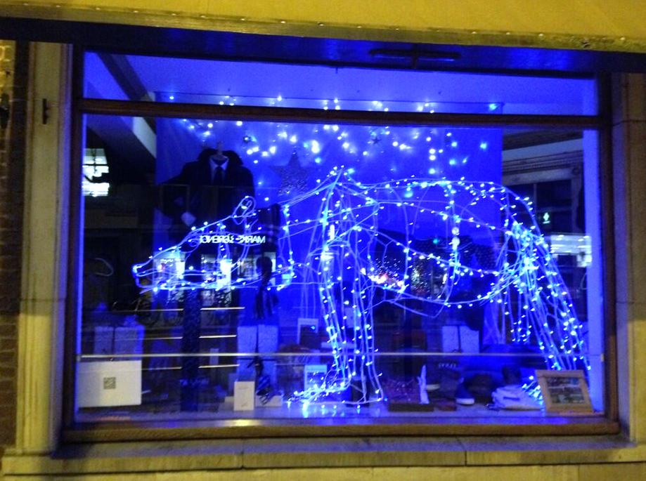 Christmas Window Night